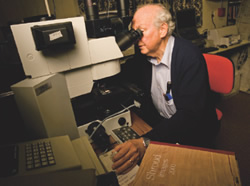 Dr. Alan Whanger analyzing pollen.